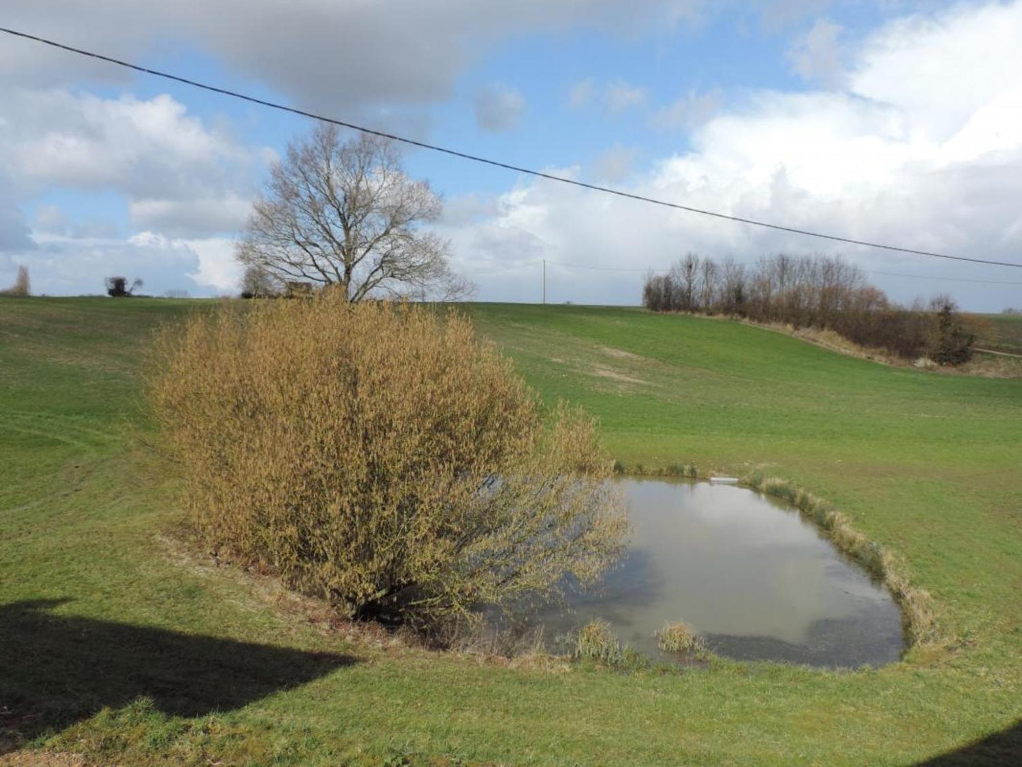 Maison De Campagne Renovee Avec Jardin Clos, Terrasse, Jeux, 5 Chambres, Et Animaux Acceptes - Fr-1-497-109 Mauves-sur-Huisne Eksteriør billede